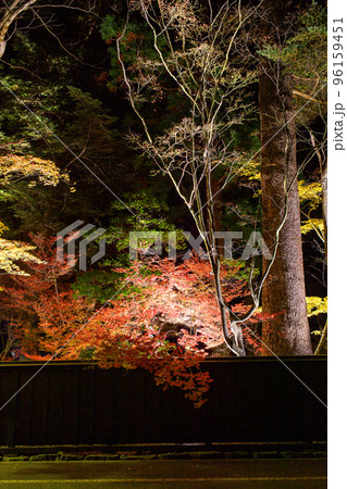 美しい紅葉 夜の角館武家屋敷 小田野家のライトアップ 美しい紅葉 夜の角館武家屋敷 小田野家のライトアップ 96159451