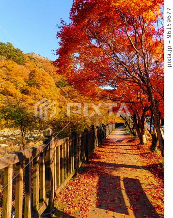 栃木県那須塩原市 塩原渓谷 温泉郷 栃木県那須塩原市 塩原渓谷 温泉郷 96159677