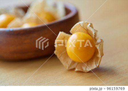 食用ほおずき（アップ） 96159769