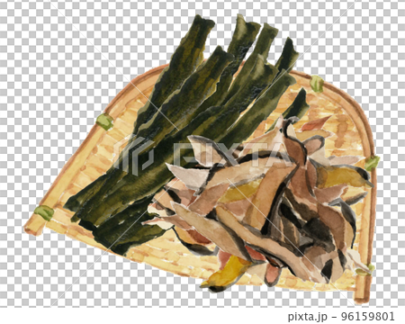 海帶和刨花在水彩白背繪製的濾鍋中的插圖 96159801