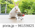 Adorable baby rabbit bunny pushing shopping basket cart with cookiecarrot standing over green nature 96159825