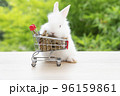 Adorable baby rabbit bunny pushing shopping basket cart with cookiecarrot standing over green nature 96159861