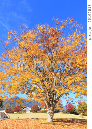 秋の安曇野ちひろ公園 96162618