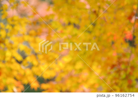 黄色の背景画像 黄色の背景画像 96162754