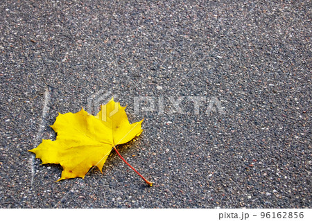 Yellow maple leaf on asphalt close up 96162856