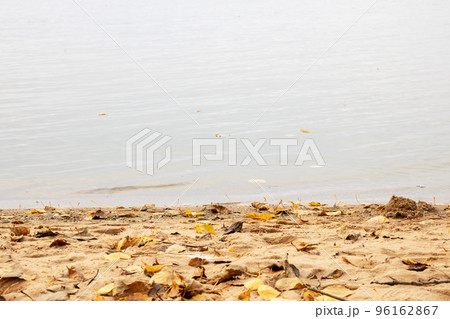 Autumn leaves on sand on shore of lake Autumn leaves on sand on shore of lake 96162867