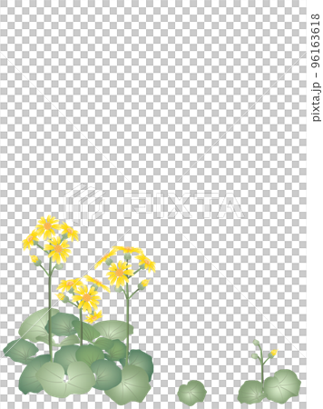 蜂斗菜,垂直的 蜂斗菜,垂直的 96163618