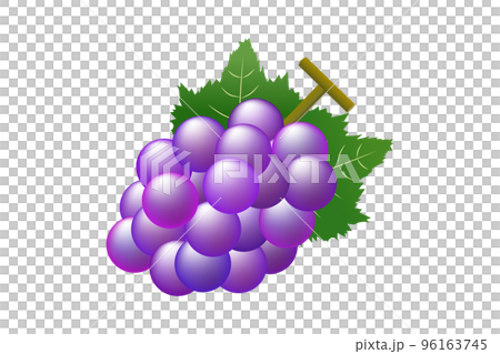 ブドウのイラスト(png)のイラスト素材 [96163745] - PIXTA