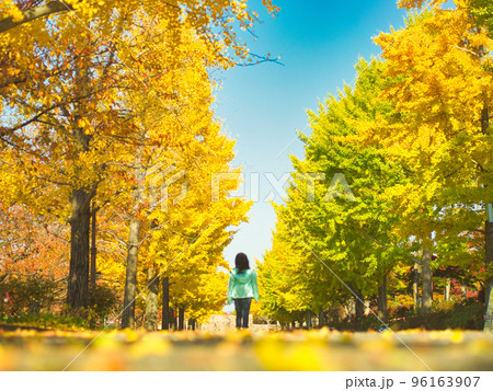 新潟県スポーツ公園の紅葉 96163907