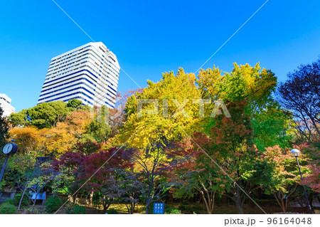 東京 千代田区紀尾井町にある清水谷公園の紅葉 東京 千代田区紀尾井町にある清水谷公園の紅葉 96164048