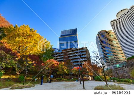 東京　千代田区紀尾井町にある清水谷公園の紅葉 96164051