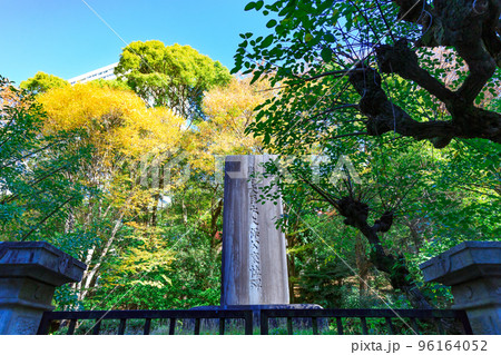 東京 千代田区紀尾井町にある清水谷公園の紅葉 東京 千代田区紀尾井町にある清水谷公園の紅葉 96164052