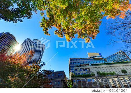 東京 千代田区紀尾井町にある清水谷公園の紅葉 東京 千代田区紀尾井町にある清水谷公園の紅葉 96164064