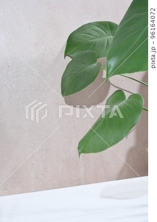 monstera leaves on light beige background. vertical size, copy space.flower scene for product presentation. product display podium with nature leaves monstera leaves on light beige background. vertical size, copy space.flower scene for product presentation. product display podium with nature leaves 96164072