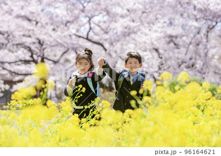 桜と菜の花の咲く公園でランドセルを背負った一年生 96164621