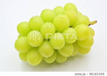 葡萄 シャインマスカット 葡萄 シャインマスカット 96165309