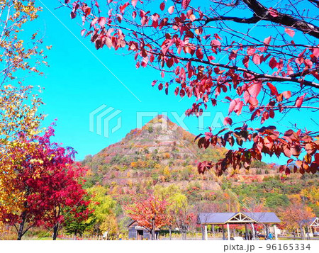 北海道の風景 秋の五天山公園 96165334