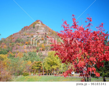 北海道の風景 秋の五天山公園 96165341