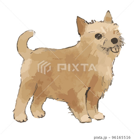 ヨークシャテリア犬の手描き風イラスト 96165516