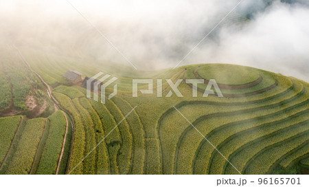 Rice fields on terraced prepare the harvest at Northwest Vietnam. Rice fields on terraced prepare the harvest at Northwest Vietnam. 96165701