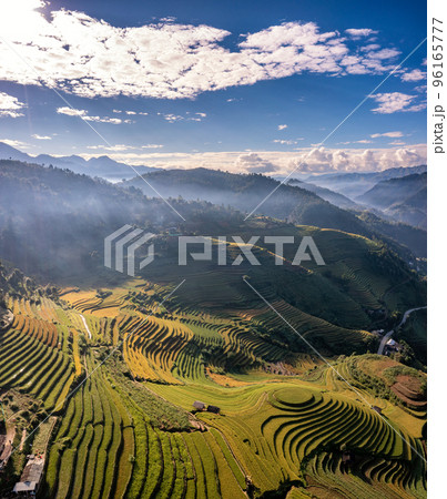 Rice fields on terraced prepare the harvest at Northwest Vietnam. 96165777