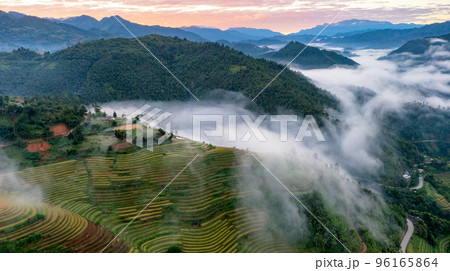 Rice fields on terraced prepare the harvest at Northwest Vietnam. 96165864