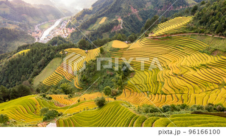 Rice fields on terraced prepare the harvest at Northwest Vietnam. Rice fields on terraced prepare the harvest at Northwest Vietnam. 96166100