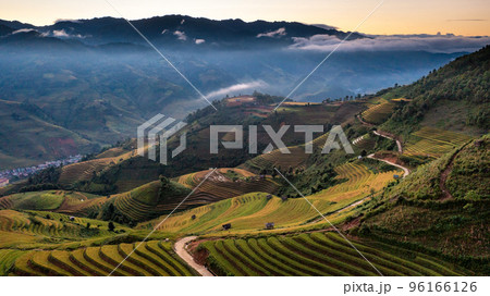 Rice fields on terraced prepare the harvest at Northwest Vietnam. 96166126