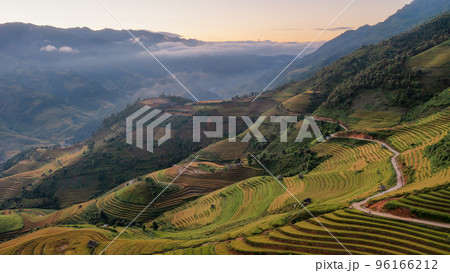 Rice fields on terraced prepare the harvest at Northwest Vietnam. Rice fields on terraced prepare the harvest at Northwest Vietnam. 96166212
