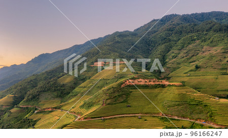 Rice fields on terraced prepare the harvest at Northwest Vietnam. 96166247