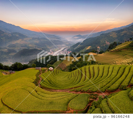 Rice fields on terraced prepare the harvest at Northwest Vietnam. 96166248