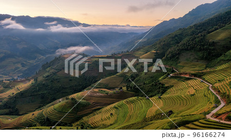 Rice fields on terraced prepare the harvest at Northwest Vietnam. 96166274