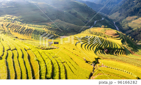 Rice fields on terraced prepare the harvest at Northwest Vietnam. Rice fields on terraced prepare the harvest at Northwest Vietnam. 96166282