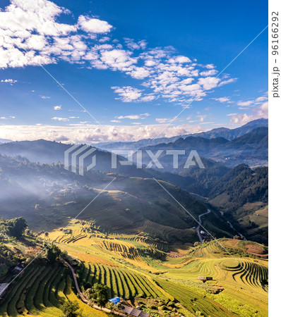 Rice fields on terraced prepare the harvest at Northwest Vietnam. 96166292