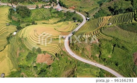 Rice fields on terraced prepare the harvest at Northwest Vietnam. 96166293
