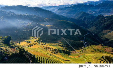 Rice fields on terraced prepare the harvest at Northwest Vietnam. 96166294