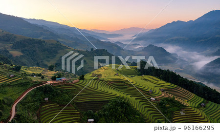 Rice fields on terraced prepare the harvest at Northwest Vietnam. 96166295