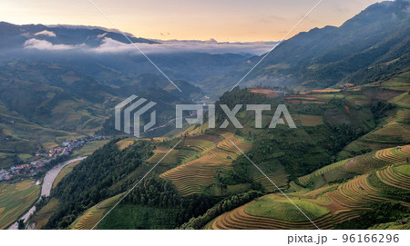 Rice fields on terraced prepare the harvest at Northwest Vietnam. 96166296