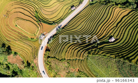 Rice fields on terraced prepare the harvest at Northwest Vietnam. Rice fields on terraced prepare the harvest at Northwest Vietnam. 96166343