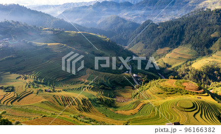Rice fields on terraced prepare the harvest at Northwest Vietnam. 96166382