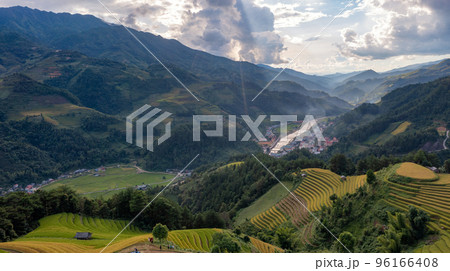Rice fields on terraced prepare the harvest at Northwest Vietnam. 96166408