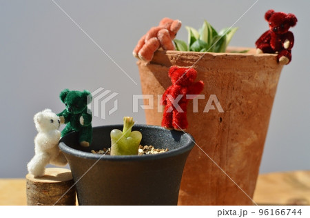 多肉植物の鉢植えによじ登るテディベア 多肉植物の鉢植えによじ登るテディベア 96166744