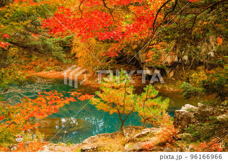 厳美渓の紅葉 96166966
