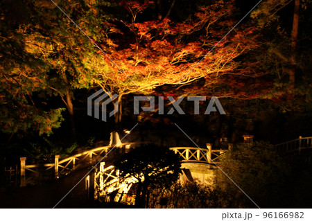 函館見晴公園の美しくライトアップされた紅葉 96166982