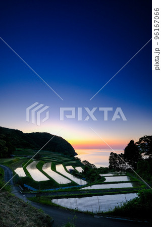 棚田田烏 棚田田烏 96167066