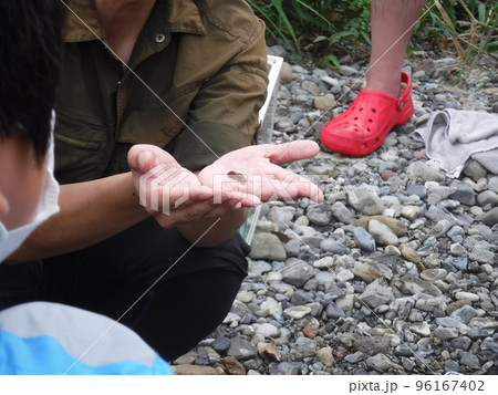 魚好きのためのイベント ~ event for boy lovers fish 魚好きのためのイベント ~ event for boy lovers fish 96167402
