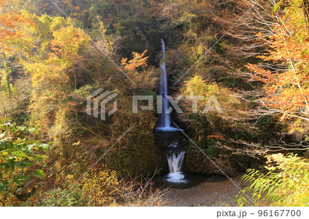 紅葉の森が美しい鳥取県伯耆大山の大山滝 96167700