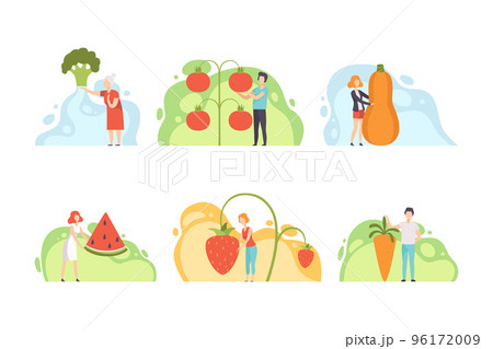 People Characters Harvesting Huge Vegetables and Fruits from Garden Vector Set 96172009