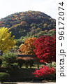 紅葉 月岳山 秋 96172074