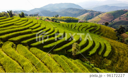 Aerial view of Rice terrace at Ban pa bong piang in Chiang mai Thailand Aerial view of Rice terrace at Ban pa bong piang in Chiang mai Thailand 96172227